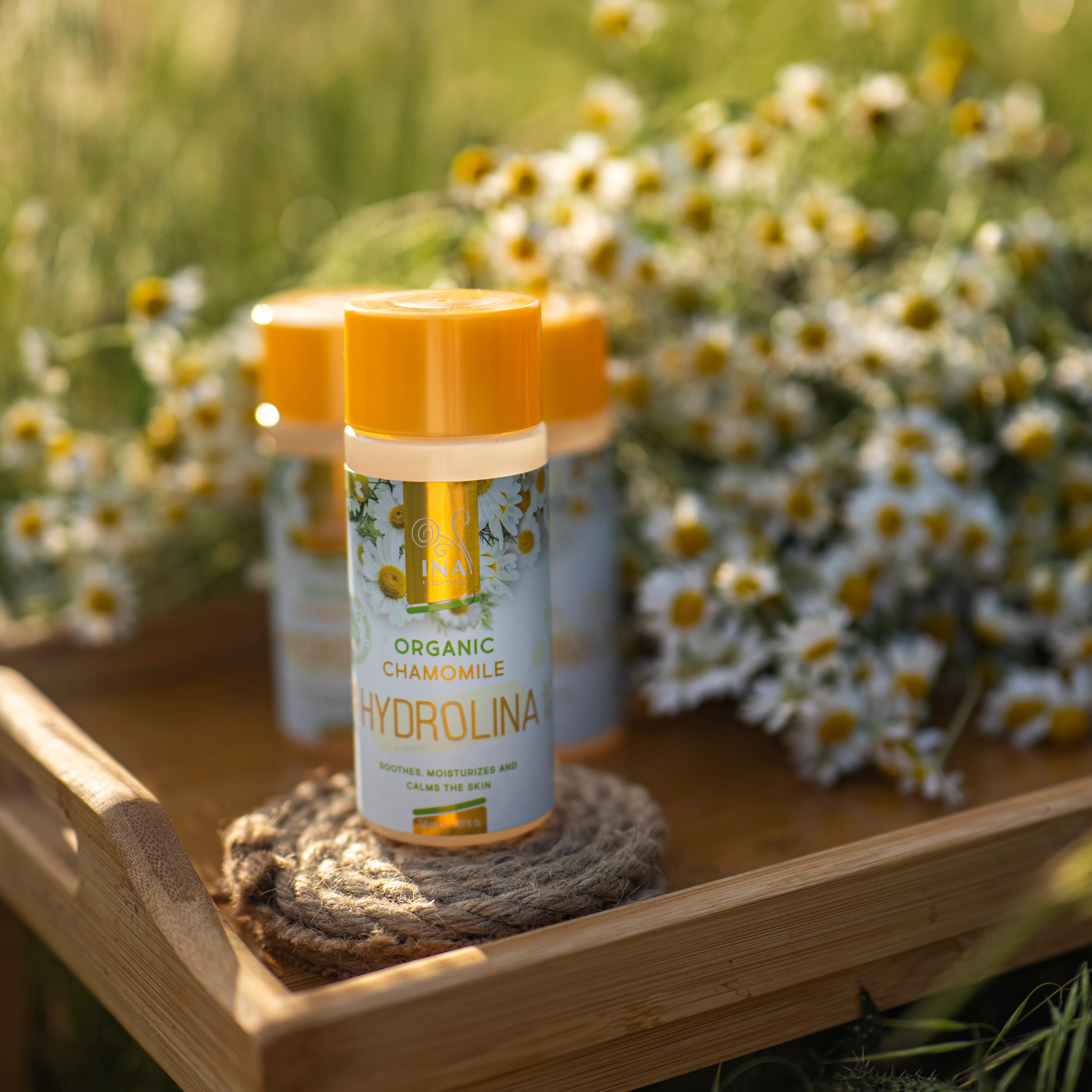 Organic Chamomile water - Hydrolina for Eczema and Irritated skin - Image 7